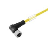 SAIL-M12BW-5-3.0UGE Kabel czujnikowy, nr katalogowy 1092970300