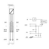 moduł 16DI 24V DC 3.0ms ze złączem do przewodu taśmowego WAGO