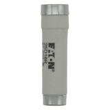 FUSE 25A DI/E16 GR 500VAC Wkładka DI 20A GR 500VAC E16 25D16R EATON