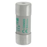 C22M50S Wkładka cylindryczna z wybijakiem 22x58 50A AM 690V AC C22M50S EATON