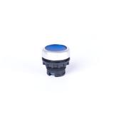 Ex9P1 FI BGłówka z przyciskiem płaskim z samopowrotem bez nadruku możliwość podświetlenia niebieska