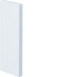 tehalit.BRP Końcówka 65x170, biały