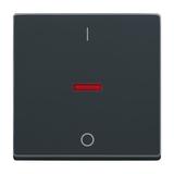 KLAWISZ Z NADRUKIEM I OKIENKIEM