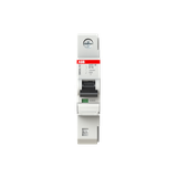 S401M-D16 wyłącznik nadprądowy SMISSLINE 2CCS571001R0161 ABB