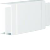 tehalit.LF Element T/X 60x110mm biały HAGER