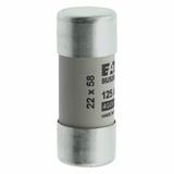 CYLINDRICAL FUSE 22 x 58 125A GG 400V AC Wkładka cylindryczna 22 x 58mm 125A GG 400V AC C22G125 EATO