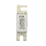 100A 1000V 00/80 aR INDICATOR FUSE Wkładka szybka 100A AC 1000V rozmiar 00 30x47x98 mm aR D 170M4810