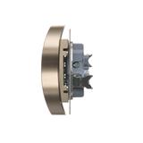 Simon 54 Gniazdo podwójne z/u z przesłonami 16A z. śrub. złoty mat