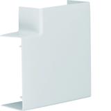 tehalit.LFF Kąt płaski 40x90mm, jasnoszary LFF4009057035 HAGER