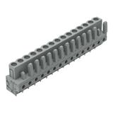 MCS-MIDI Classic gniazdo 15-bieg. szare raster 5 mm