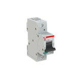 S801U-Z100 Wyłącznik nadprądowy 25kA 1P Z100A 2CCS881017R0825 ABB