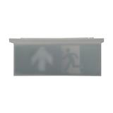 NexiTech LED opal szyba strzałka do góry/ zaślepka 20m ISO7010 NEXI-PLEXO-20-UB EATON