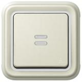 PLEXO55 PRZYCISK JEDNOBIEGUNOWY PODŚWIETLANY BIAŁY/ ECRU 10A-250V~, Legrand