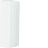 tehalit.ateha Końcówka do kanału 20x75, biały