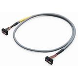 przewód taśmowy 14-bieg./14-bieg. 1m