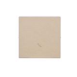 Simon 55 Klawisz pojedynczy z piktogramem /schody/ do: SW6M Szampański mat