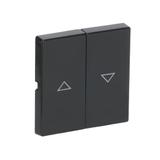 CARAT/FUTURE  Klawisz z nadrukiem Do wyłącznika/przycisku żaluzjowego antracyt