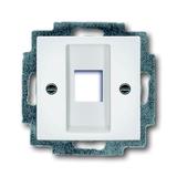 BASIC55 Pokrywa z pierścieniem nośnym Do 1 złącza Modular Jack biały alpejski