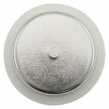 FUSE 125 DV GG 500VAC TIME DELAY Wkładka DV 125A GG 500VAC E200 125D200 EATON