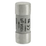 100A 690V AC gR 22X58mm FUSE W/O STRIKER Wkładka szybka 100A AC 690V 22x58 gR IEC UL FWP-100G22F EAT