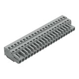 MCS-MIDI Classic gniazdo 21-bieg. szare raster 5 mm /10szt./ WAGO