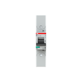 S801S-K25-R Wyłącznik nadprądowy 50kA 1P K25A 2CCS861002R0517 ABB