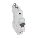 Wyłącznik Nadprądowy S 311 1P D25A 10000A DX3 409434 LEGRAND