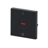 KLAWISZ Z NADRUKIEM I OKIENKIEM