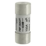 100A 600V 22X58 INDICATED 22 X 58MM 100A 700V 22X58 cylindryczna do półprzewodników wybijak 22 X 58M