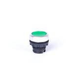 Ex9P1 FI g Główka z przyciskiem płaskim z samopowrotem bez nadruku możliwość podświetlenia zielona
