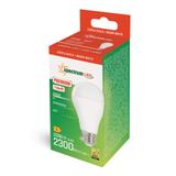 LED  GLS  E-27 230V 20W PREMIUM  WW A65 SPECTRUM