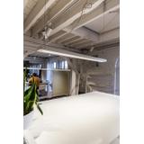 Szynowa oprawa TRACKLIGHT SPOT D75 25W 4000K 90RA NFL WT