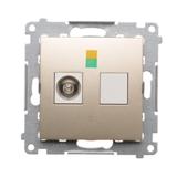 Simon 54 Gniazdo ekwipotencjalne pojedyncze złoty mat