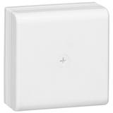 DLP PUSZKA ROZGAŁĘŹNA 110 X 110, Legrand