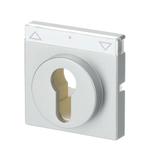 FUTURE Pokrywa z polem opisowym. Z nadrukiem Do wyłącznika na klucz i wyłącznika/przycisku żaluzjowe