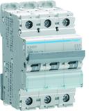 MCB Wyłącznik nadprądowy 10kA/15kA 3P D 25A NDN325 HAGER