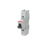 S801S-B50-R Wyłącznik nadprądowy 50kA 1P B50A 2CCS861002R0505 ABB