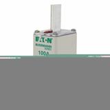 FUSE NH SIZE 1 AM 100A 500V Wkładka NH1 100A 500V AM podwójny wskaźnik 100NHM1B EATON