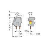 złączka do płytek drukowanych szara raster 7,5/7,62 mm