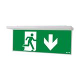 NexiTech LED szyba strzałka w dół / strzałka w dół 20m ISO7010 NEXI-PLEX-20-DD EATON