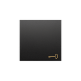 Simon 54 Klawisz pojedynczy z piktogramem klucza do łączników/przycisków czarny