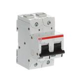 S802S-C16 Wyłącznik nadprądowy 50kA 2P C16A 2CCS862001R0164 ABB