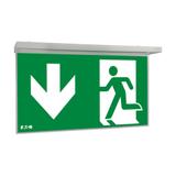 NexiTech LED opal szyba strzałka w dół / strzałka w dół 30m ISO7010 NEXI-PLEXO-DD EATON