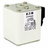 FUSE 700A 1000V 2BKN/75 AR UR Wkładka szybka 700A AC 1000V rozmiar 2 59x77x75 mm aR IEC UL 170M5960