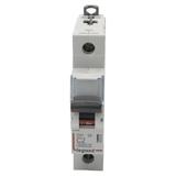 Wyłącznik Nadprądowy S 301 1P C2A 6kA DX3 407663 LEGRAND