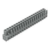 MCS-MIDI Classic gniazdo 19-bieg. szare raster 5 mm /10szt./ WAGO
