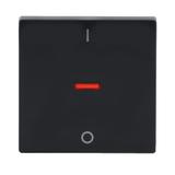 KLAWISZ Z NADRUKIEM I OKIENKIEM