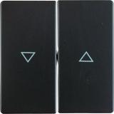 BERKER Q.x Klawisze z nadrukowany symbol strzałka do łącznika 2-klawiszowego antracyt aksamit 162560