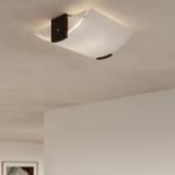 Sollux Plafon EMILIO SL.0186