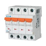 PLSM-C63/4-MW Wyłącznik nadprądowy 10kA C63A 4P 242618 EATON